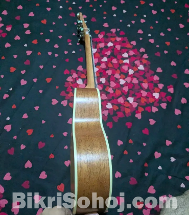 Ukulele